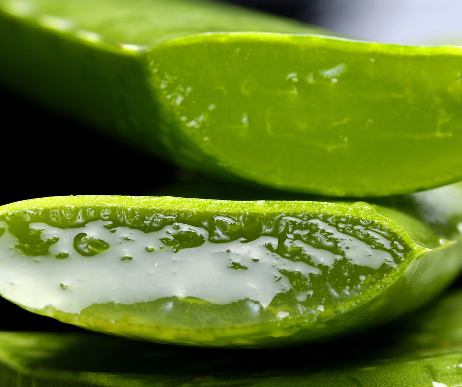Poudre d'Aloe vera