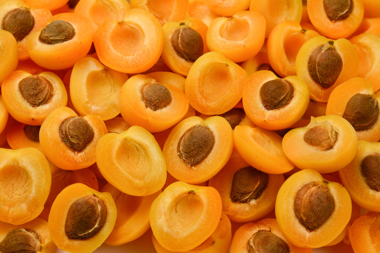 Huile de noyaux d’abricot bio