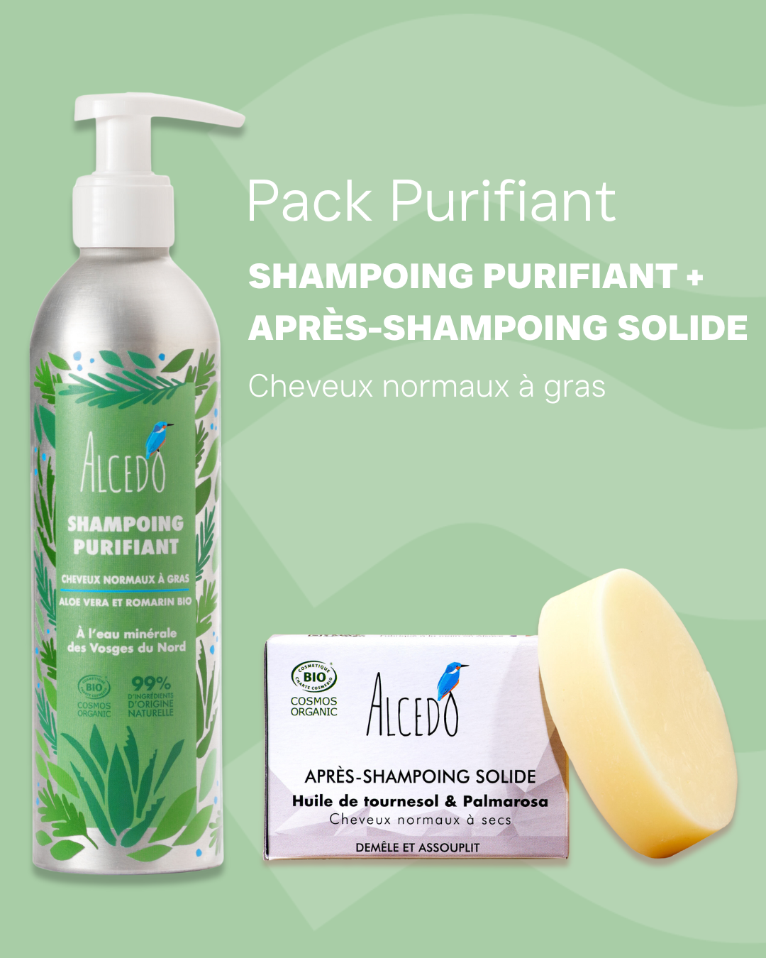 Pack Purifiant : Shampoing Bio (cheveux normaux à gras) & Après-Shampoing Solide Bio